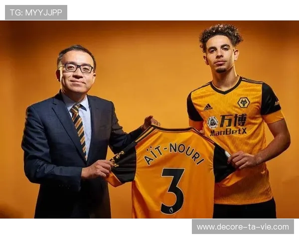 霍芬海姆前锋奥尔班租借加盟维罗纳附带买断选项 霍芬海姆前锋奥尔班租借加盟维罗纳附带买断选项