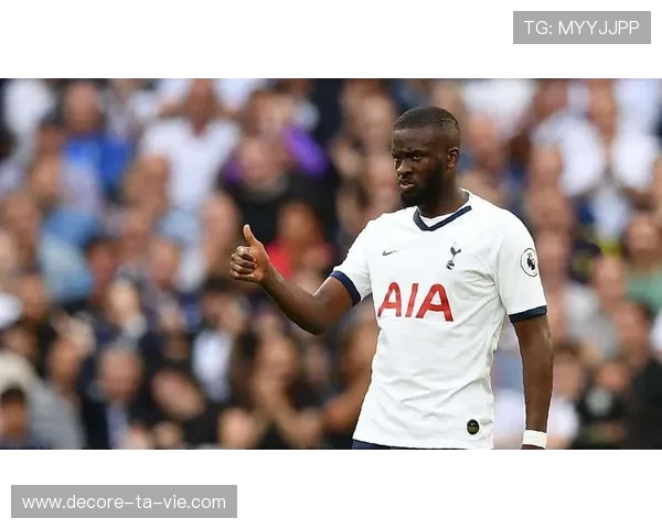 罗梅乌重返南安普顿签约至赛季末 旨在加强球队中场深度